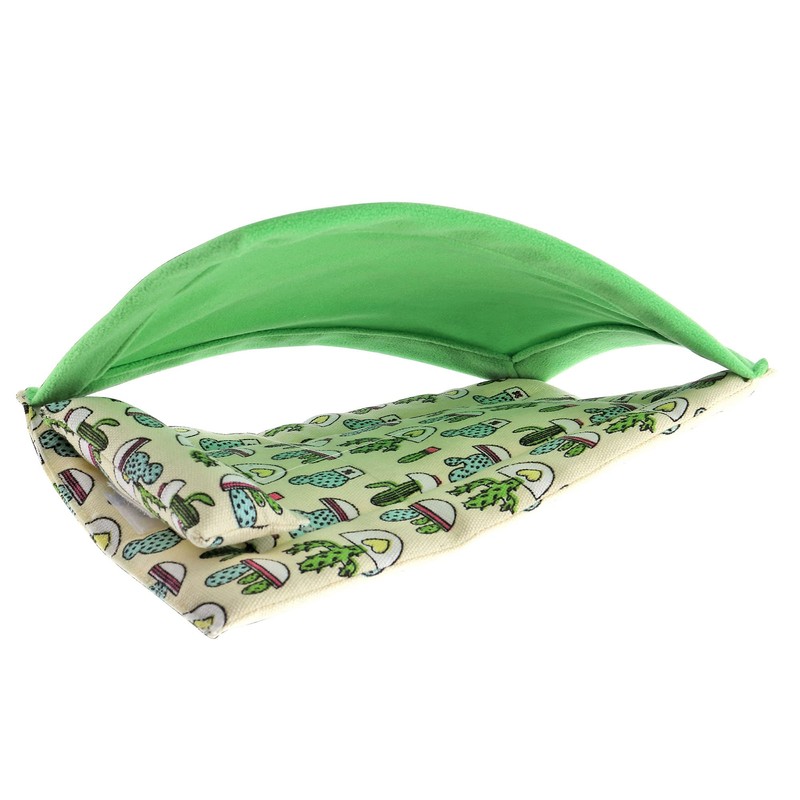 Lizard Reptile Sleeping Bed Set, Reptile Blanket, Pet Blanket, Sleeping