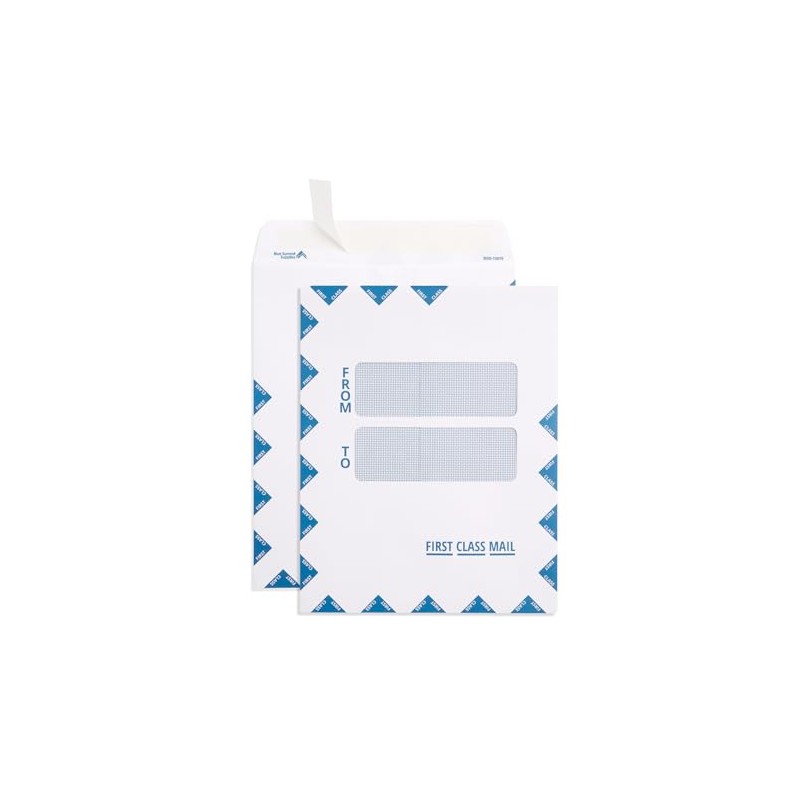 Blue Summit First Class Mail Double Window Envelope - 9.5”