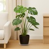 30 Pack Plant Saucer 4/5/6 Inches Plastic Drip Trays to