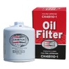 Champion - Aircraft Oil Filter | CH48110-1