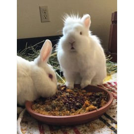 Food4Buns The Shire Mix, Bunny Rabbit Guinea Pig Chinchilla Food Treats - 8 oz