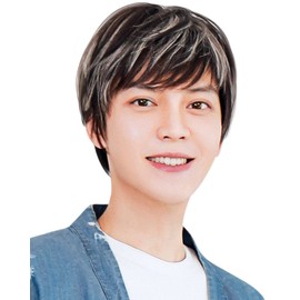 TefuRe LAFU MEN-001 Men's Wig, Short, Natural Wig, Short Hair, Boys, Korean Idol Style, Mesh, Gradation, Includes Wig Net, Heat Resistant, Natural Short, black/white mesh