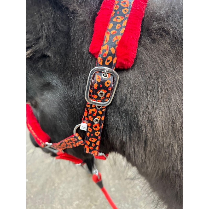 EQUIPRIDE HEADCOLLAR AND LEAD ROAD SET FAUX FUR FUN PRINT