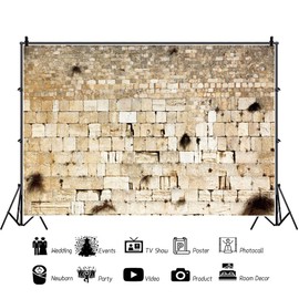 Pnylzzyxh 10x8ft Jerusalem Wailing Wall Backdrop Israel Ancient Cityscape Backdrop Photo Backdrop Photography Background
