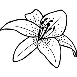 A7 'Lily Flower' Unmounted Rubber Stamp (RS00005985)