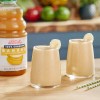 FixtureDisplays Dr. Smoothie 100% Crushed Banana Fruit Smoothie Mix 46