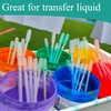 HPWFHPLF 100 Pack Disposable Transfer Pipettes, Plastic Pipettes with Graduated