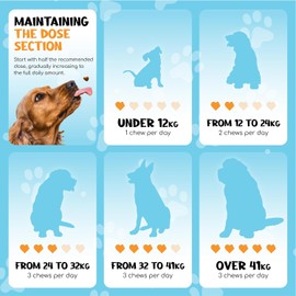 XOOMI Probiotics for Dogs Soft Chews, 120 Natural Pre, Pro & Postbiotic Full Spectrum Blend for Gut Health & Immune Support, 6 Billion CFU with Pumpkin, Greek Yoghurt, Chicory Root, UK Company