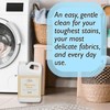 Diva Wash Laundry Detergent - Diva 16 oz (Pack of