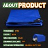 RAINDEWAY Small Tarps 4x6 Feet (2 Pack) 8 Mil, UV