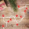 Northlight LED C6 Faceted Christmas Lights - Red - 22.5'