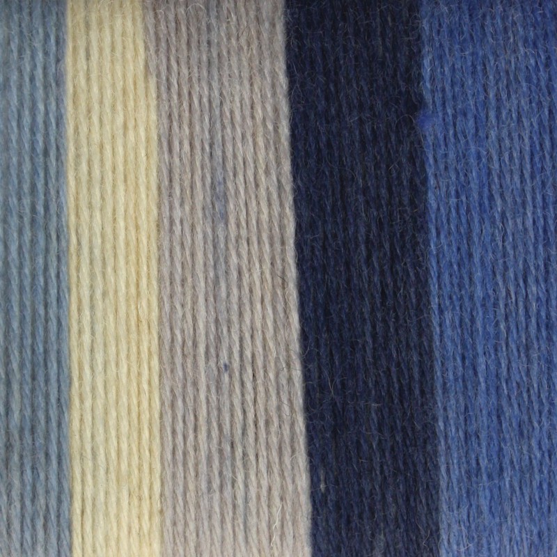 Spinrite Yarns Patons Kroy Socks, 1.75 Ounce, Coastal