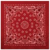 Red With Black Print Trainmen Paisley Bandana
