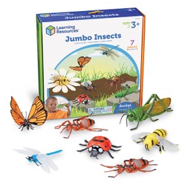 Realistically detailed insects designed for little hands and big imaginations