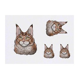 4 x 'Maine Coon Cat Head' Temporary Tattoos - Water Resistant, Skin-Safe, Non-Toxic Transfers, Mixed Sizes (TO00041055)