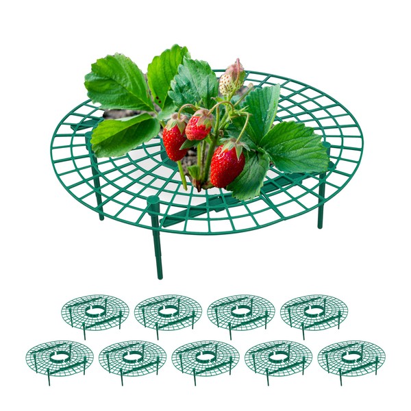 Relaxdays Strawberry Ripper, Set of 10, Snail Protection, Strawberries, Plastic,