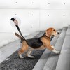 Dog Nursing Harness, Back Leg Support, Walking Supporter, Small, Medium,