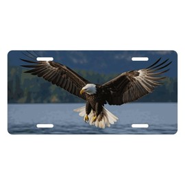 Muishi Cool Eagle Mountain Lake Decorative License Plate, Vanity Tag, Metal License Plate, Aluminum Novelty License Plate Home Decor for Men/Women/Boy/Girls 6 X 12 Inch (4 Holes)