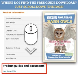 OBDK Barn Owl Pellets for Dissection - 1 Pack Medium Sized (1.5"-2.0") with Tools, Guide and Charts from Owl Brand Discovery Kits