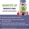 Fiber Prebiotic Gummies Sugar Free, Keto Friendly Dietary Supplements