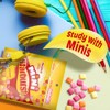 STARBURST Fruit Chews Candy - Original Minis, 8oz, Mini Candy,