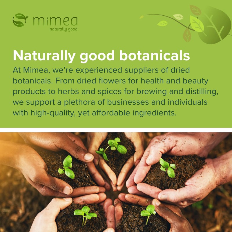 Mimea Burdock Root Powder | 1kg |