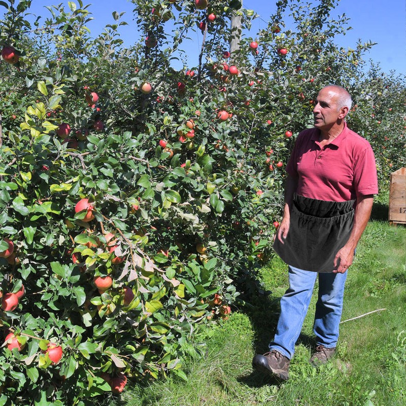 Berry Foraging Bag Multipurpose Durable Nylon Fruit Foraging Storage Bag
