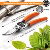 SKS 6 Tradition - Forged Secateurs - Pruning Shears &