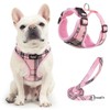 PUPTECK Soft Mesh Dog Harness and Leash Set Pet Puppy