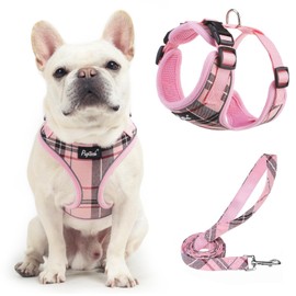 PUPTECK Soft Mesh Dog Harness and Leash Set Pet Puppy Cat Adjustable Reflective Padded Vest No Pull Harnesses, Pink, L