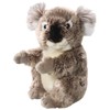 Carl Dick Koala 22cm, Plush Toy, Soft Toy, Stuffed Animal