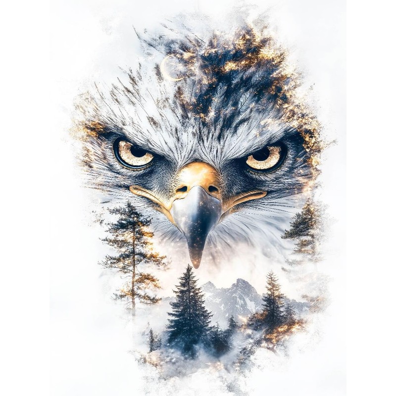 CALVENDO Puzzle Eagle | Size