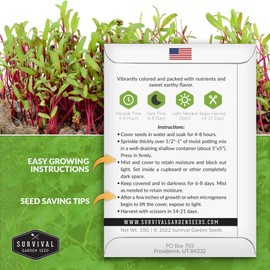 5 Packs Beet Microgreens Seeds for Planting and Growing - Plant Green Leafy Micro Vegetable Plants Indoors - Grow Your Own Mini Windowsill Garden - Non-GMO Heirloom - Survival Garden Seeds