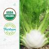 Seed Packet - Fennel 'Florence' 400mg