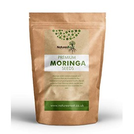 Natures Root Moringa Oleifera Seeds 500 Seeds – Non-GMO Edible Drumstick Seeds | Nutritional, Antioxidant & Anti-Inflammatory