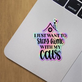 Holographic Decal Stickers of I Just Want to Stay Home with My Cats Premium Waterproof Vinyl Decal Stickers for Laptop Phone Accessory Helmet Car Window Mug Tuber Cup Door Wall Decora ANDVER30c3311HO