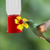 10 Pack Small Hummingbird Feeder for Outdoors Mini Hummingbird Feeders