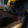 oyiiwen Natural Genuine Sheepskin Dark Black Merino Wool Seat Covers