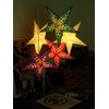 Earth Friendly Starlightz Taj Poinsettia 60 cm EarthFriendly + Wiring