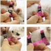 Cat Harness, Escape Proof, Cat Lead, Adjustable Cat Harness 20-35