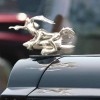 Coyote Trucks Hood Ornament Cartoon Vintage Car Ornaments Inspired by