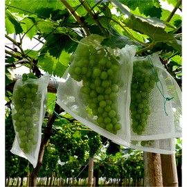 Zzooi 30PCS Grape Bug Net Bag Grape Protection Mesh Cover Bags Against Insects Birds
