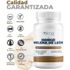 Hongo Melena De León Orgánico 500mg Organic Lions Mane Mushroom