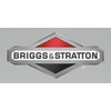 Briggs and Stratton 198841GS QC - Nozzle, Black