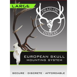 Large European Mount Hanger | Skull Bracket by Dead On Display