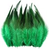 Feathers for Crafting,240pcs 5-7inch Green Craft Rooster Feathers,Saddle Hackle Feather,Bulk