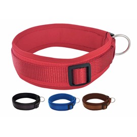 BUDDYPACK Comfortable Dog Collar Extra Wide with Neoprene Pad for Small, Medium and Large Dogs Size XXS-3XL (S/M (41-46 cm), Red)