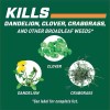 Ortho 1.33 Gal Weed B Gon Refill – Kills Crabgrass,