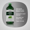 Piping Rock Chlorophyll Liquid Drops 100mg | 16 oz |