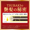 TSUBAKI Hair Treatment, 5.6 oz (160 g) x 2 +